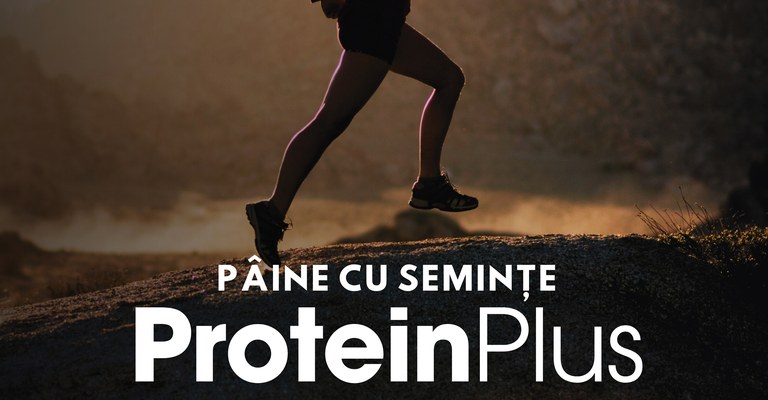 Pâine cu semințe<br/><strong>Protein Plus</strong>