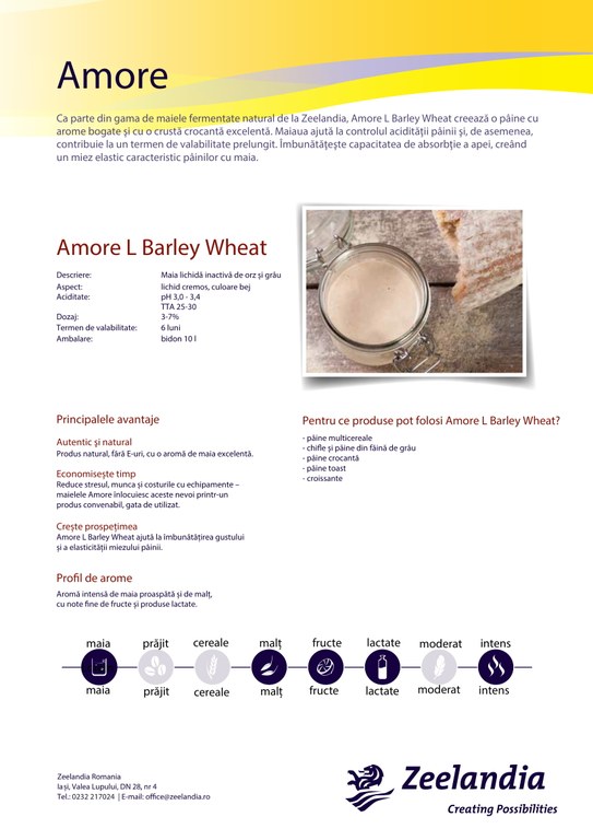 Amore_L_Barley_Wheat.2-1.jpg