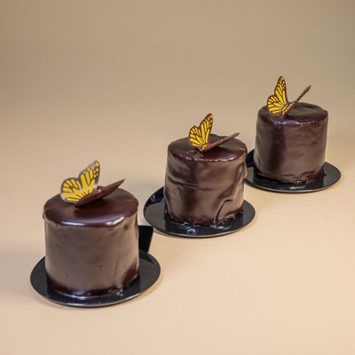 Chocolate Butterfly